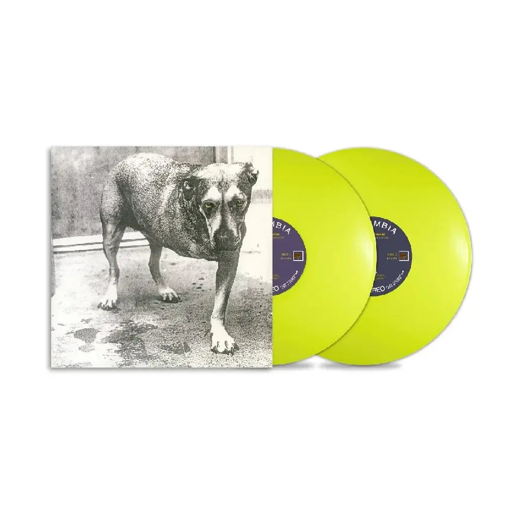 ALICE IN CHAINS / ALICE IN CHAINS (30TH ANNIVERSARY)(YELLOW HIGHLIGHTER VINYL)