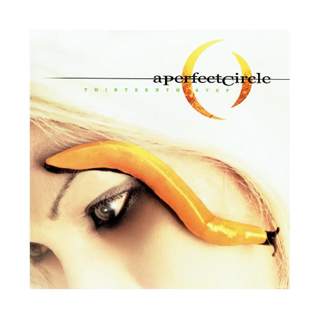 A PERFECT CIRCLE / THIRTEENTH STEP
