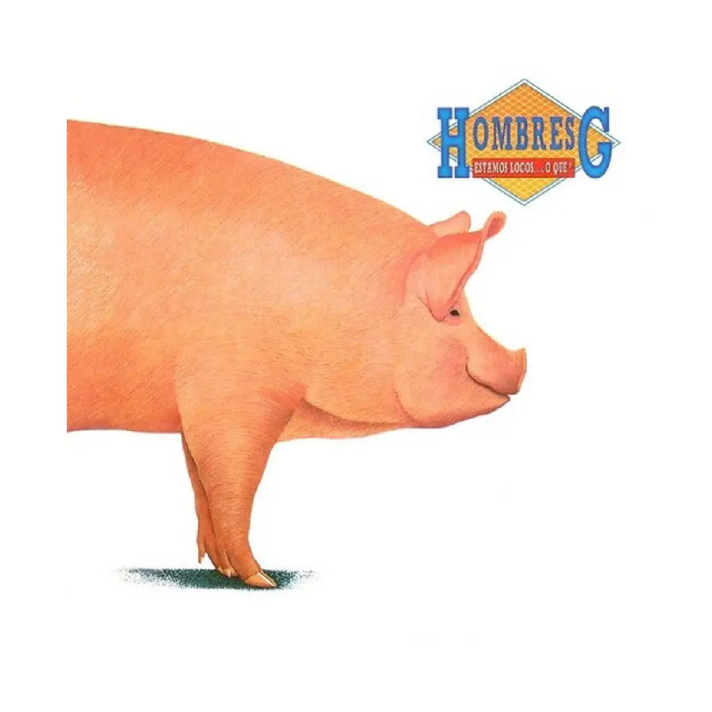 HOMBRES G / ESTAMOS LOCOS  O QUE?