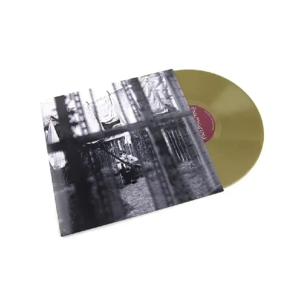 PAUL MCCARTNEY / CHAOS & CREATION IN THE BACKYARD (LIMITED EDITION)(GOLD TRANSLUCENT VINYL)